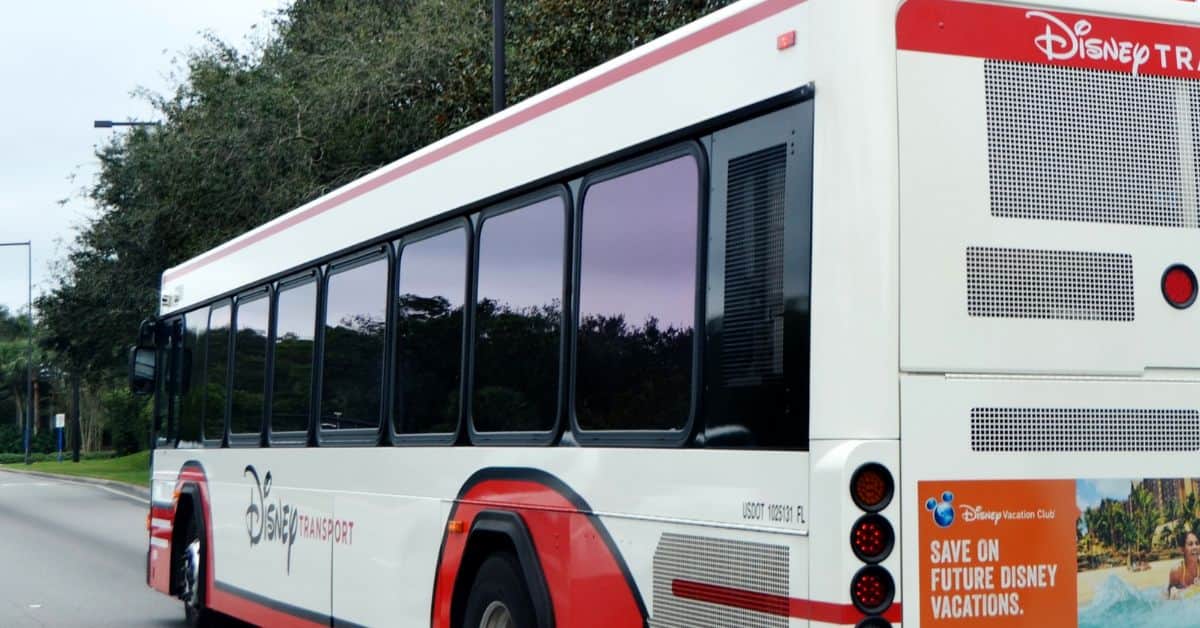 Disney Bus