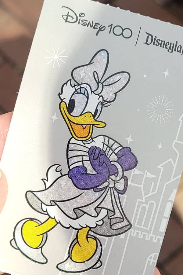 Disneyland Ticket